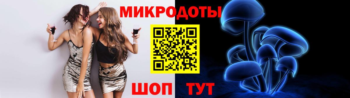 Галлюциногенные грибы Psilocybe  Вход с VPN  Грязи 